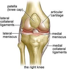 膝蓋大腿部の痛み