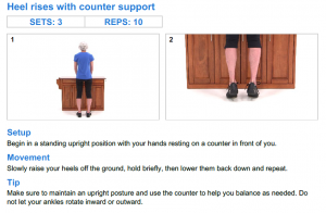 heel-rises-with-counter-support